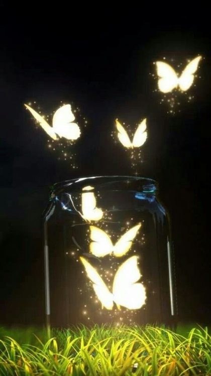 lightflies